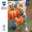 Cushion - Pumpkins