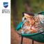 Cushion - Cat between leaves