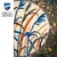Rug - Grasses