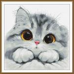 Shy kitten