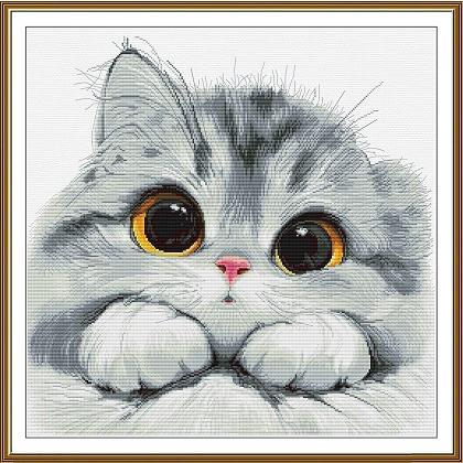 Shy kitten