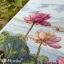 Lotus Dreams