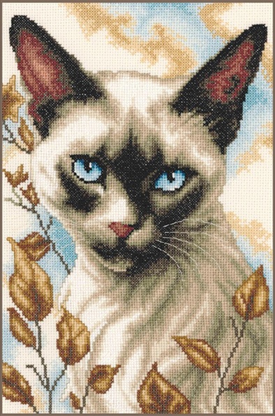 Siamese Cat