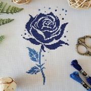 Blue rose