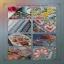 Twilight Summer Garden Sampler