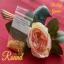 Beads Pack - The Lady Gardener - Original