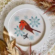 Robin In Winter