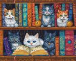 Book Shelf