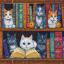 Book Shelf