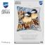 Cushion - Chickadees in winter