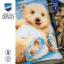 Cushion - Little polar bear