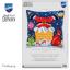 Cushion - Santa in the chimney