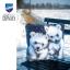 Cushion - Little polar bears