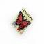 Coral Wings Needle Minder