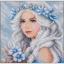 Frost