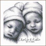 Birth Sampler - Twins