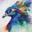 Respectable peacock