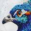 Respectable peacock