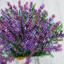 Lavender Scent