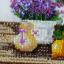 Lavender Scent