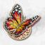 Bright Butterfly