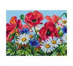 Wildflowers