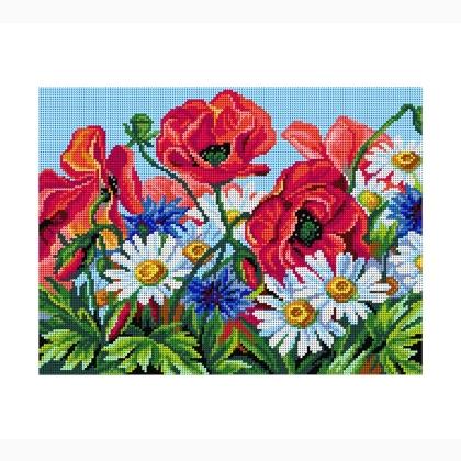 Wildflowers