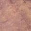 Glory - Edinburgh Linen 36ct