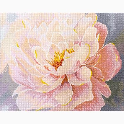 Floral Grace - Framed