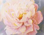 Floral Grace - Framed