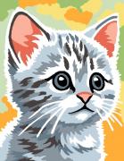 Chat gris