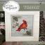 Birds in Nature - Cardinal
