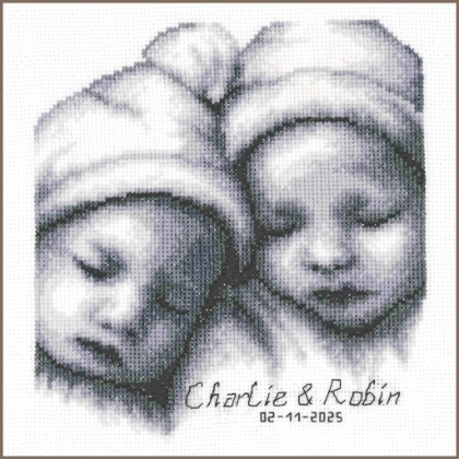 Birth Sampler - Twins