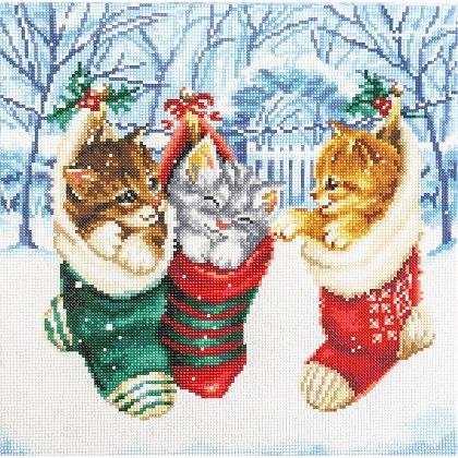 Snowy Kittens