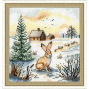 Hare