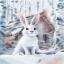 Ears on the top of the head (Lyubov Titova)