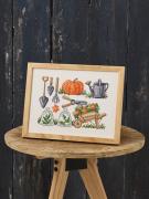 Pumpkin and Watering