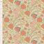 Aubery Coral