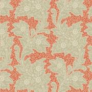 Blender - Stella Coral