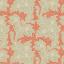 Blender - Stella Coral