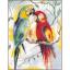 Parrot talk