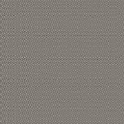 Poppy Seed Charcoal