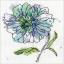 Blue Floral