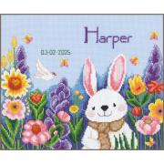 Rabbit in garden