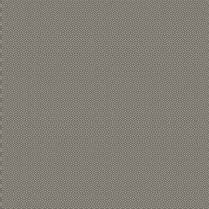 Poppy Seed Charcoal