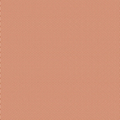 Poppy Seed Terracotta