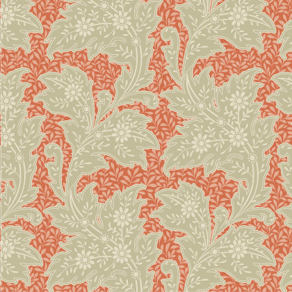 Blender - Stella Coral