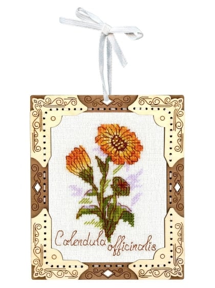Miniature - Calendula