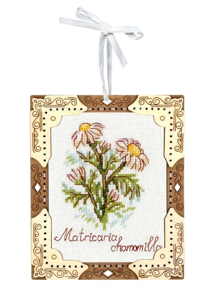 Miniature - Chamomile