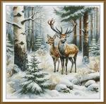 Winter stroll